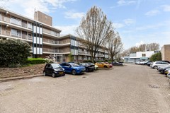 Zadkinerade 17_39.jpg